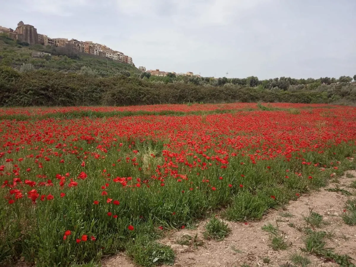 Apartamento en l'Horta de Sant Joan