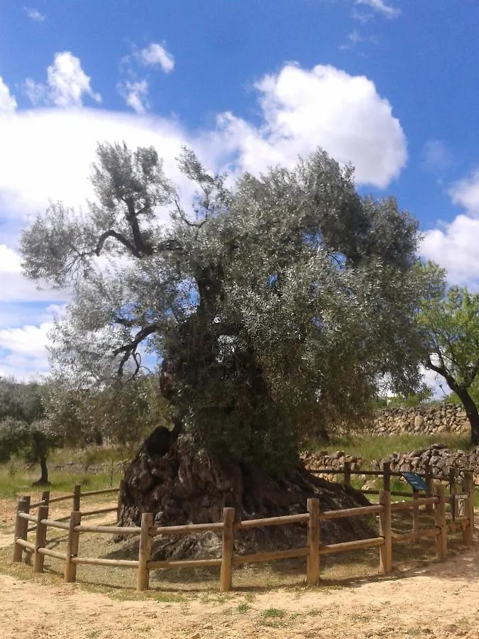 Apartamento en l'Horta de Sant Joan España